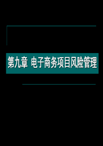 第九章电子商务项目风险管理
