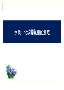 COD测定步骤(精)