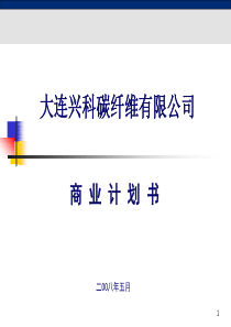 大连兴科碳纤维有限公司_商业计划书