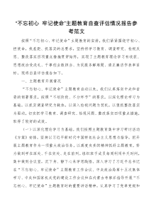 不忘初心牢记使命主题教育自查评估情况报告参考范文
