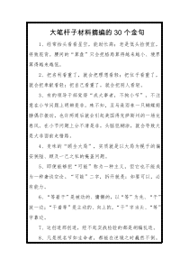 大笔杆子材料摘编的个金句