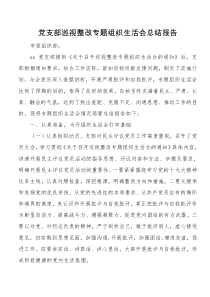 党支部巡视整改专题组织生活会总结报告