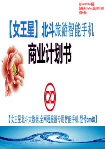 女王星北斗旅游智能手机.商业计划书（PDF21页）