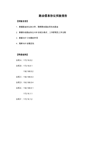 路由信息协议实验报告