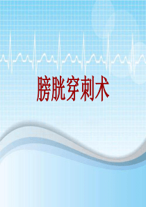 手术讲解模板：膀胱穿刺术