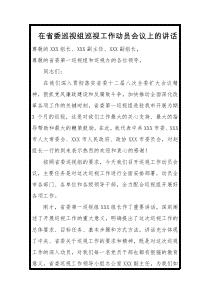 区委书记巡视动员上的表态发言一