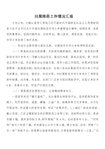 扫黑除恶工作情况汇报