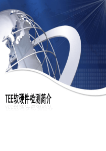 TEE软硬件检测