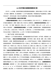 xx乡乡村振兴战略实施情况汇报