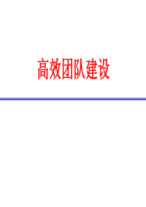 团队领导力