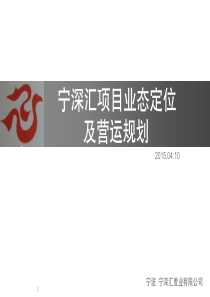 宁深汇项目定位演绎2_商业计划_计划解决方案_实用文档