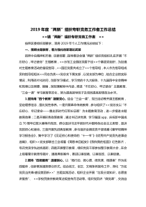 XX年度两新组织专职党务工作者工作总结