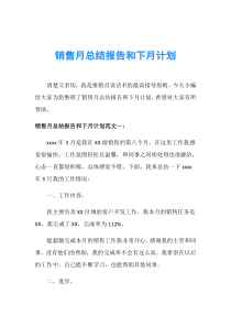 销售月总结报告和下月计划