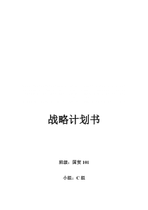 公司战略计划书