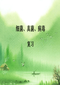 细菌和真菌复习总结课件(精).ppt