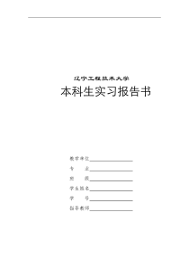 实习报告