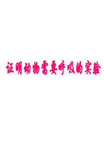 动物的呼吸实验改进