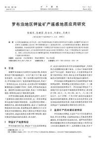 罗布泊地区钾盐矿产遥感地质应用研究
