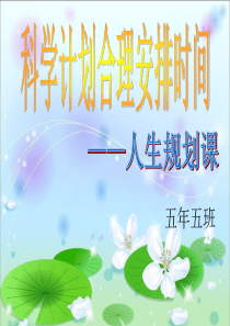 科学计划合理安排时间
