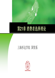 消费者选择理论