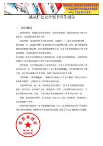 挑战杯创业计划书写作指导