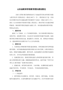 山东省教育学院教学团队建设意见