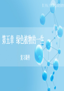 苏教版七年级生物上《第五章-绿色植物的一生》单元复习课件