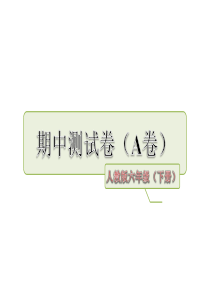 人教版新课程标准六年级语文下册期中测试卷A卷