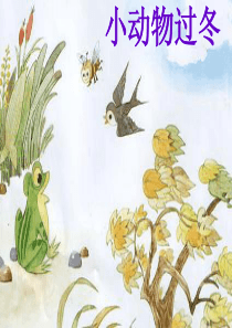 幼儿园中班科学小动物过冬ppt课件