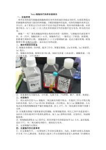 细胞培养vero实验报告