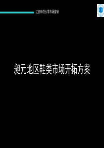 昶元地区鞋类市场开拓计划书