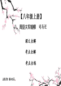 2020中考八上课内文言文专题复习课件周亚夫军细柳