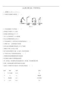 20192020年中考化学复习训练试题主题训练05科学探究