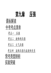 物理中考复习课件第九章压强