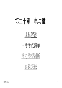 物理中考复习课件第二十章电与磁