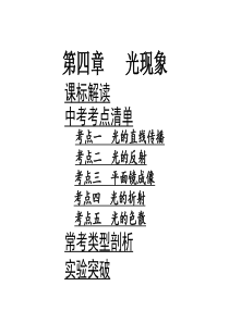 物理中考复习课件第四章光现象