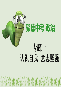 广东省2019年中考道德与法治专题复习课件聚焦中考第1课时