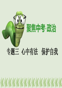 广东省2019年中考道德与法治专题复习课件聚焦中考第7课时