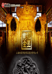 昶昱黄金商业计划书XXXX08最新版20