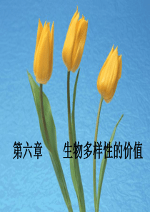 6生物多样性的价值