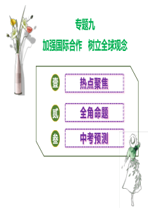 2019年中考道德与法治总复习第2轮专题大提升9专题九加强国际合作树立全球观念