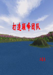打造颠峰团队(罗恩)