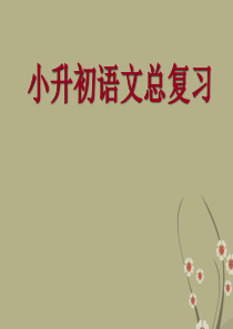 小升初语文总复习课件复习重点