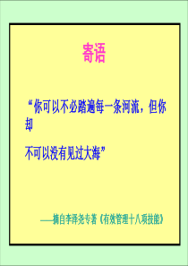 打造高效团队的行为模式