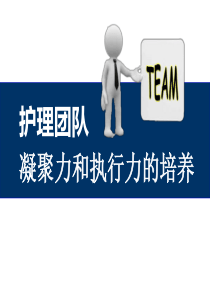 护理团队的建设（PPT56页)