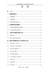 清美天地超能活水项目商业计划书
