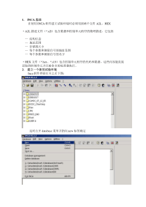 INCA软件教学