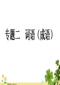 河南专版八年级语文上册专题二词语成语课件新人教版