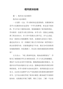 校内实训总结