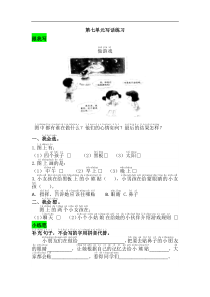部编版语文一年级下册第七单元写话练习附答案